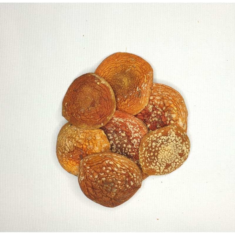 Купить гриб мухомор в копании ЭкоРосс