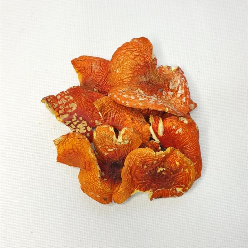 Купить гриб мухомор в копании ЭкоРосс