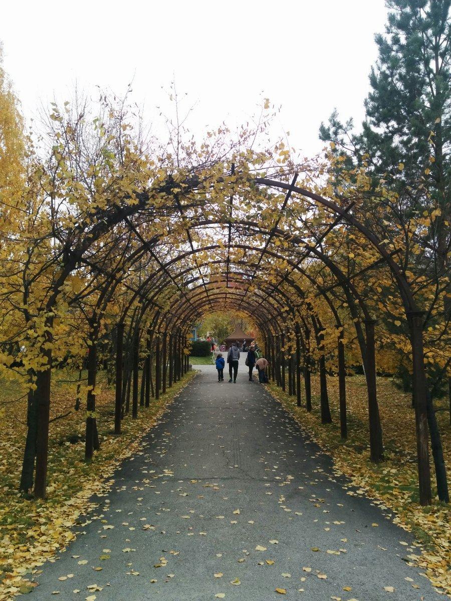 Парк имени кирова новосибирск Парк имени кирова новосибирск